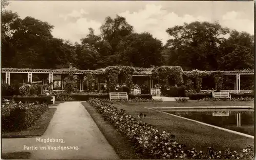 Magdeburg - Partie im Vogelgesang -45840