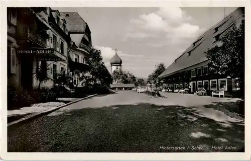 Hinterzarten - Hotel Adler -44404