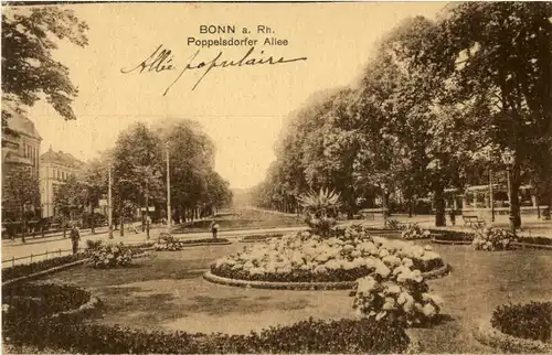 Bonn - Poppelsdorfer Allee -44930