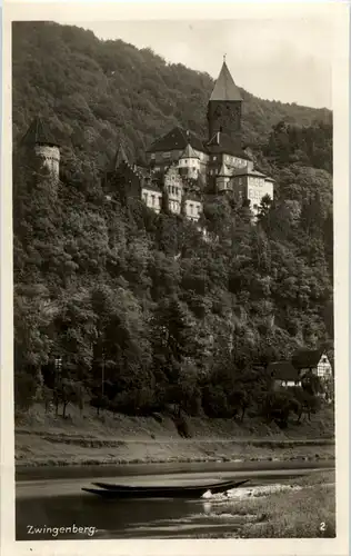 Zwingenberg -45716