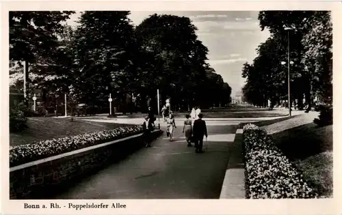 Bonn - Poppelsdorfer Allee -45218