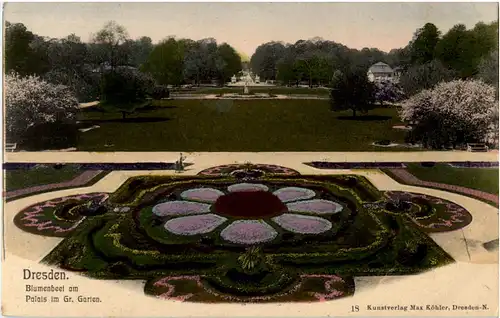 Dresden - Blumenbeet am Palais im G. Garten -45258