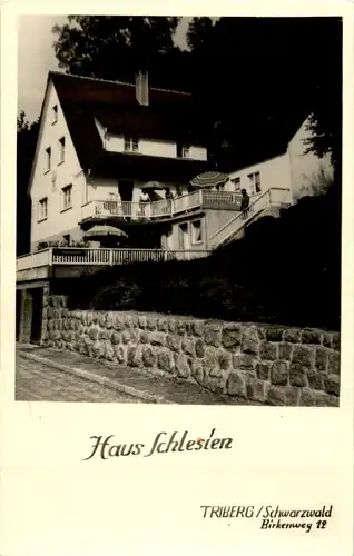 Triberg im Schwarzwald - Haus Schlesien -45966