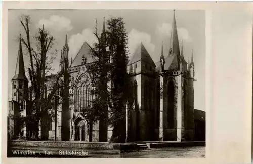 Wimpfen - Stiftskirche -45690