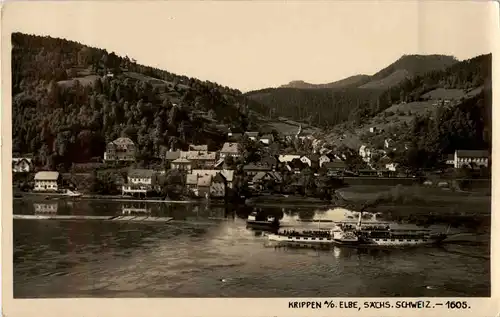 Krippen an der Elbe -45798