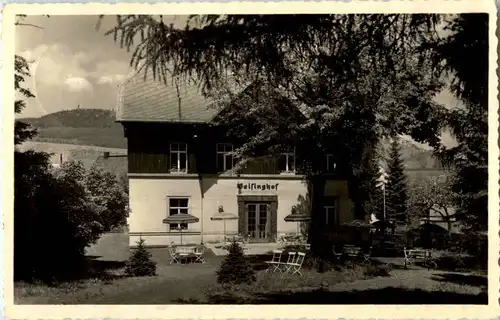 Geising - Hotel Geisinghof -45584