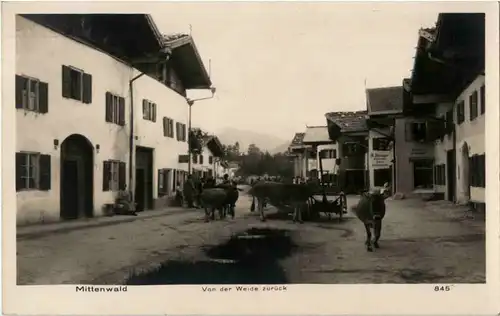 Mittenwald - Von der Weide zurück -45954