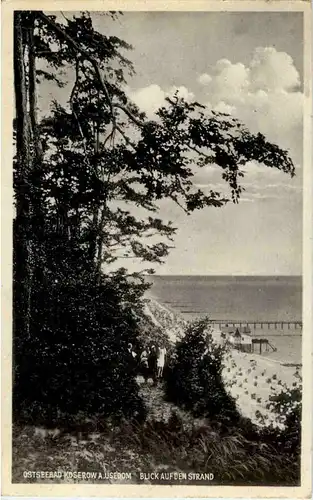 Ostseebad - Koserow auf Usedom -47082