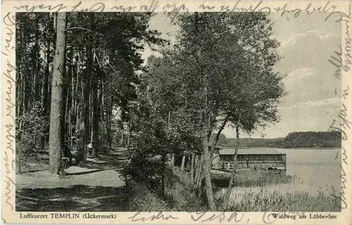 Templin - Waldweg am Lübbe-See -47170