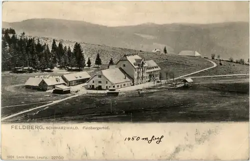 Feldberg - Hotel Feldbergerhof -47422