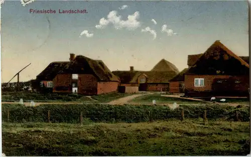 Tondern - Friesische Landschaft -48772