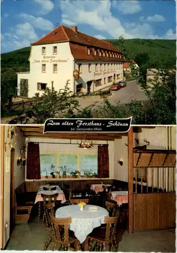 Schönau - Zum alten Forsthaus bei Gemünden -47960