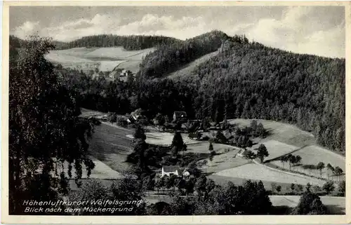 Wölfelsgrund -47742