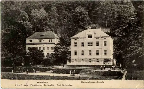 Bad Schandau - Gruss aus Pensionat Roesler -47346