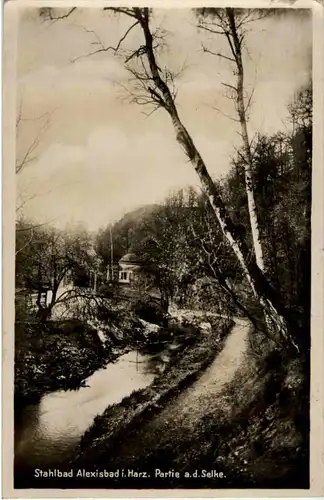 Alexisbad - Partie an der Selke -47830