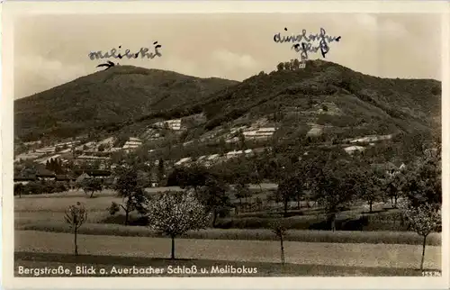 Bergstrasse - Auerbacher Schloss und Melibokus -47516