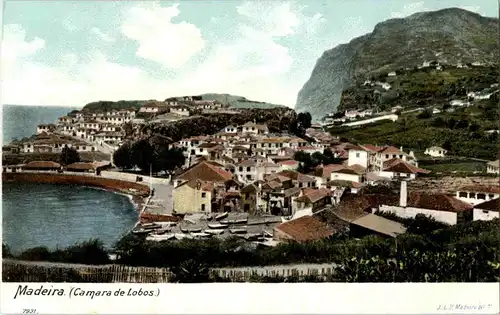 Madeira - Camara de Lobos -49312