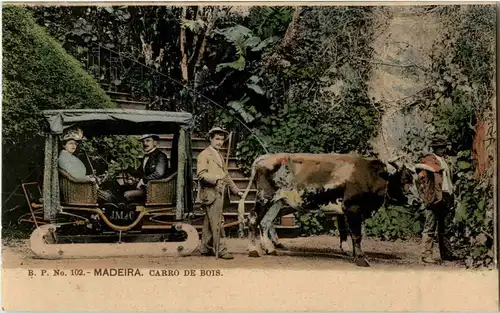 Madeira - Carro de Bois -49318