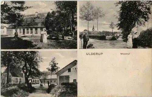 Ulderup - Mooshof -48310
