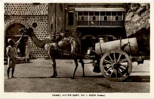 Aden - Camel water cart - Jemen -49998