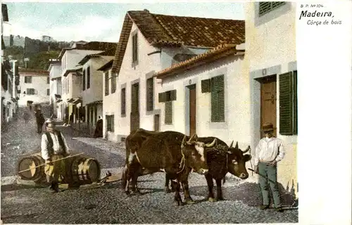 Madeira - Corca de bois -49320