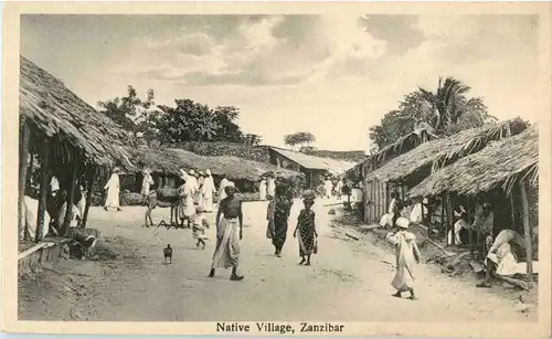 Zanzibar - Native village -49380