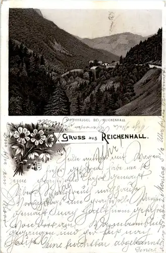 Gruss aus Reichenhall - Litho 1895 -51366