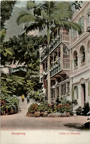 Hongkong - Palms in Gleneally -49720