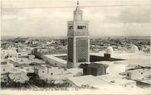 Tunis - Panorama pris de Dar El Bey -51076