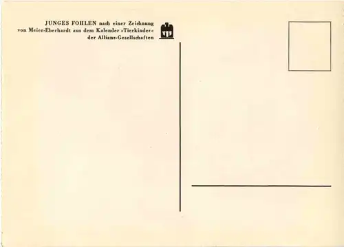 Fohlen - Pferd -51988