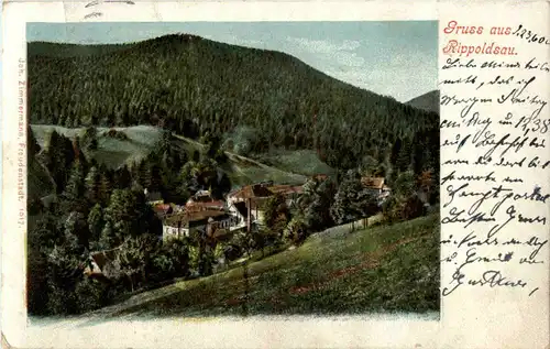 Gruss aus Rippoldsau -51494