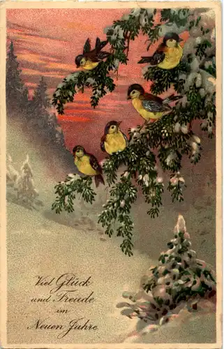 Neujahr - Vögel -51938