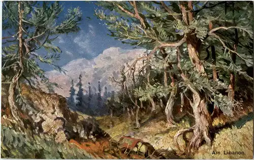 Am Libanon -53280