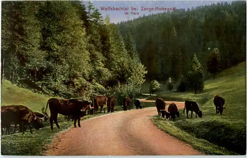 Wolfsbachtal bei Zorge-Hohegeiss -52002