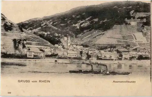 Assmannshausen -53646