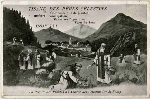 Abbaye des Celesins de St. Fons -54406