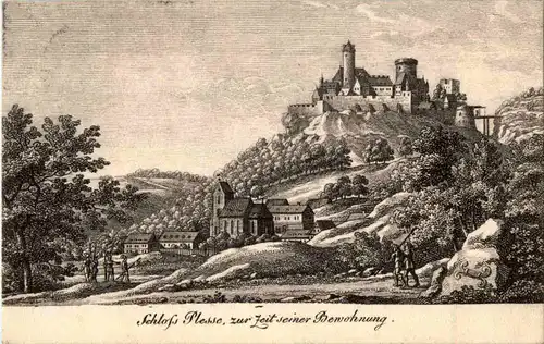 Schloss Plesse bei Göttingen -53318