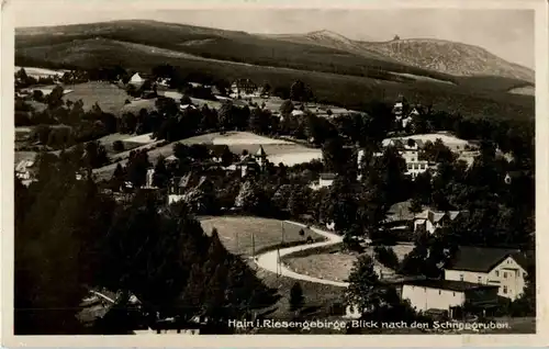 Hain im Riesengebirge -55216