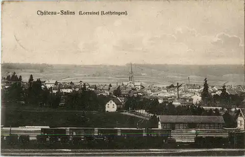 Chateau-Salins - Lothringen -56046