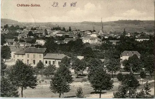 Chateau Salins -54414