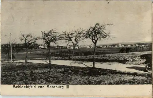 Schlachtfeld von Saarburg -54504