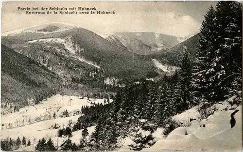 Partie bei der Schlucht mit Hohneck -55936