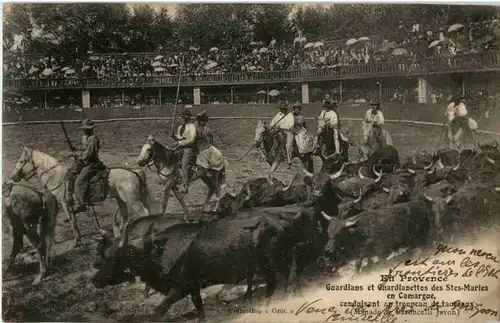 Guardians des Stes Maries - Stierkampf -54684