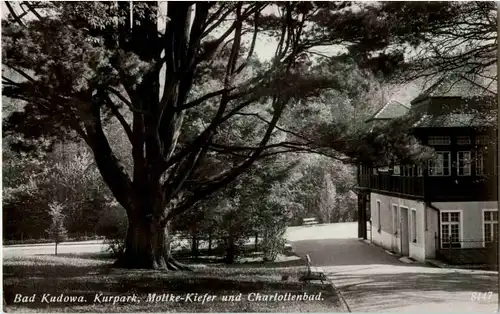 Bad Kudowa - Moltke Kiefer und Charlottenbad -55474