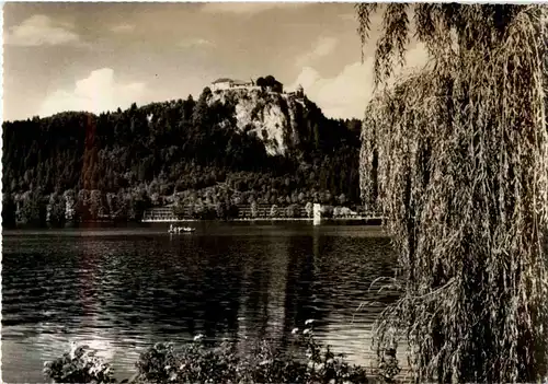 Bled -55794
