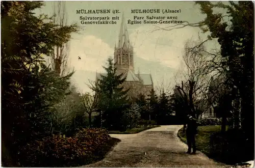 Mülhausen - Salvatorpark -56358
