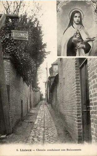 Lisieux - Chemin conduisant aux Buissonnets -57494