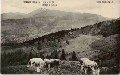 Grosser Belchen -58456