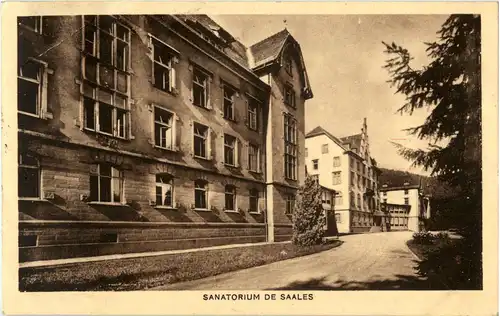 Sanatorium de Saales -58782