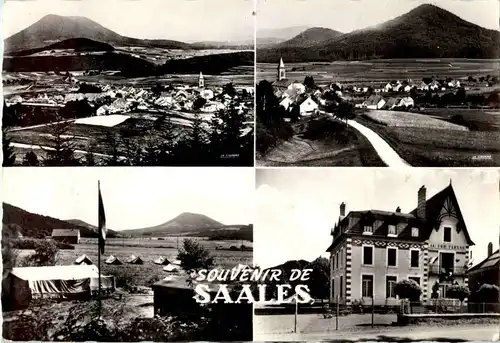 Souvenir de Saales -58790